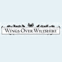 Wings Over Wiltshire 1088740 Image 1